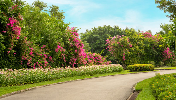 Construção de Jardins Públicos