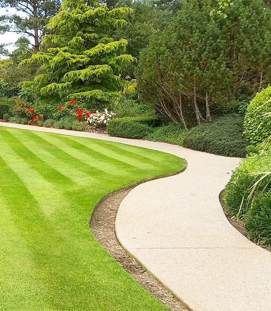 Empresa especialista na construção de jardins